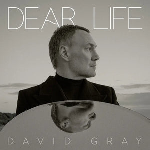 
                  
                    Load image into Gallery viewer, David Gray - Dear Life
                  
                