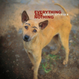 
                  
                    Load image into Gallery viewer, David Sylvian - Everything &amp;amp; Nothing
                  
                