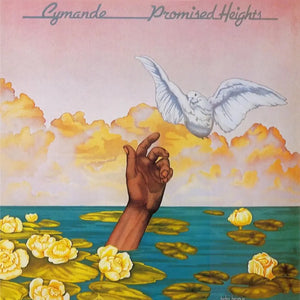 
                  
                    Load image into Gallery viewer, Cymande - Promised Heights (2024 Re-Issue)
                  
                