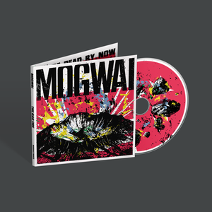 
                  
                    Load image into Gallery viewer, Mogwai - The Bad Fire
                  
                